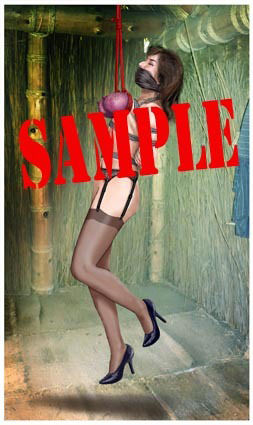 サンプル画像3:緊縛・着衣緊縛絵巻VOL.15(クリセゴン) [d_377535]