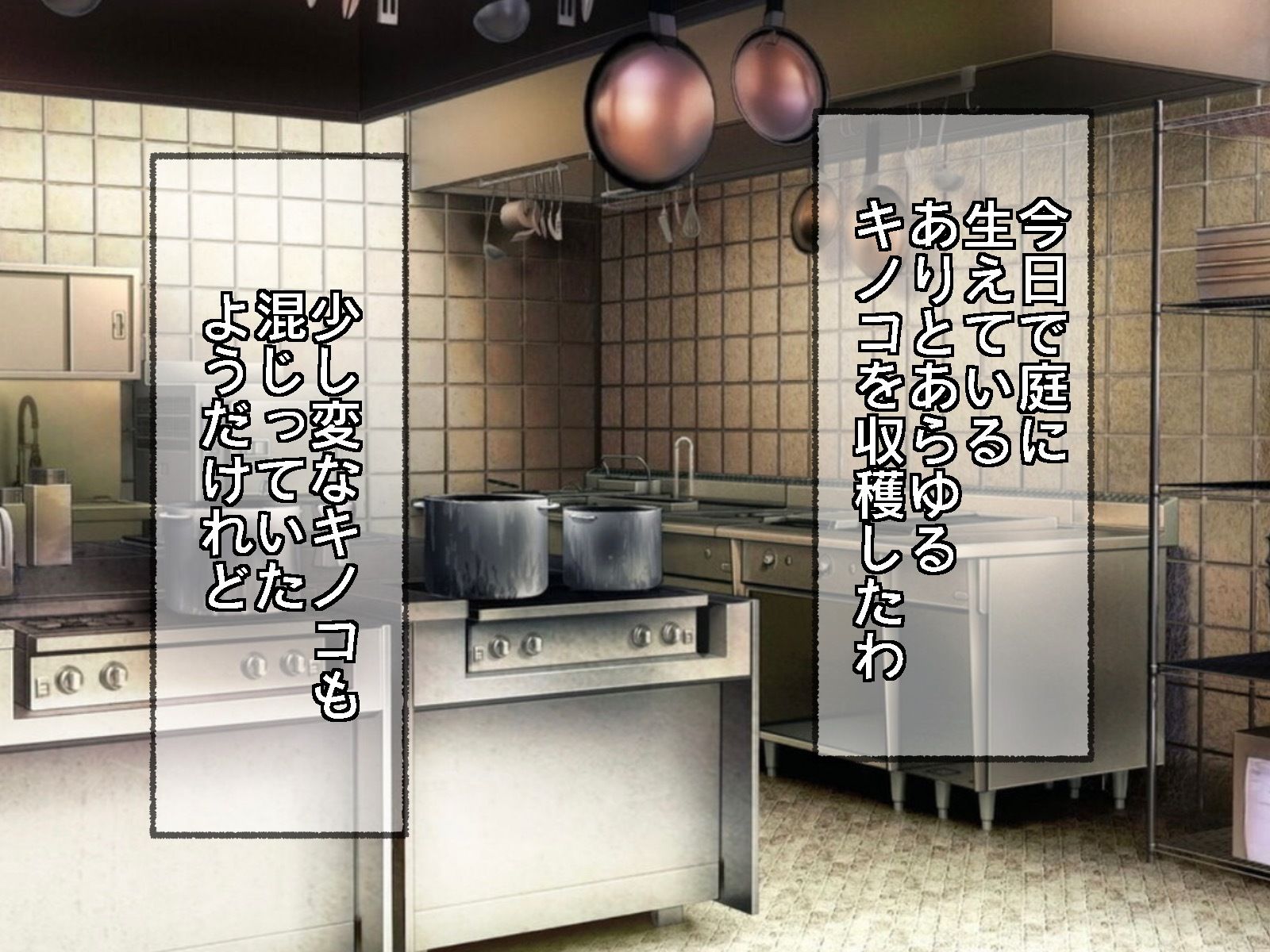 サンプル画像3:大好きなお嬢様に御ちんぽが生えてしまいました(実験人間1919号) [d_379044]