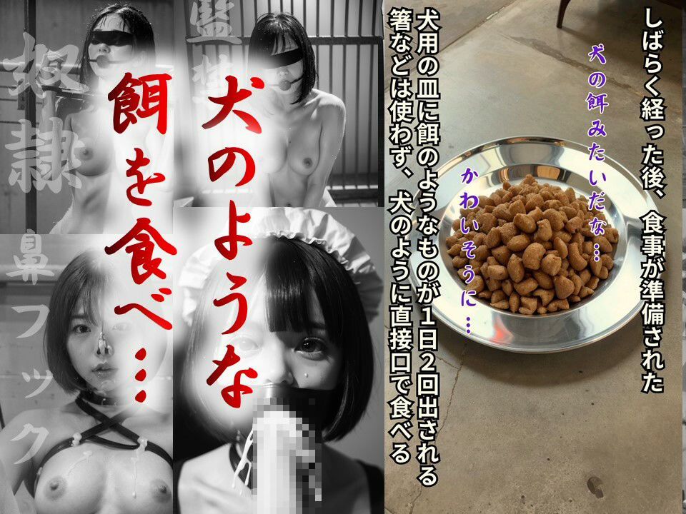 サンプル画像4:強●性奴●制度〜後編〜(鬼畜AI) [d_387983]