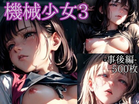 機械少女3 -事後編-