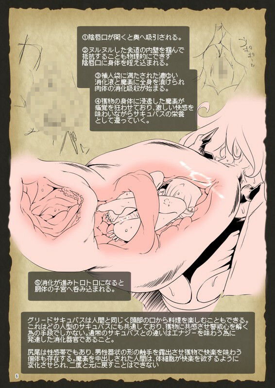 サンプル画像2:The Adventurer’s Guide to Monsters サキュバスのひみつずかん(KAMINENDO.CORP) [d_393441]