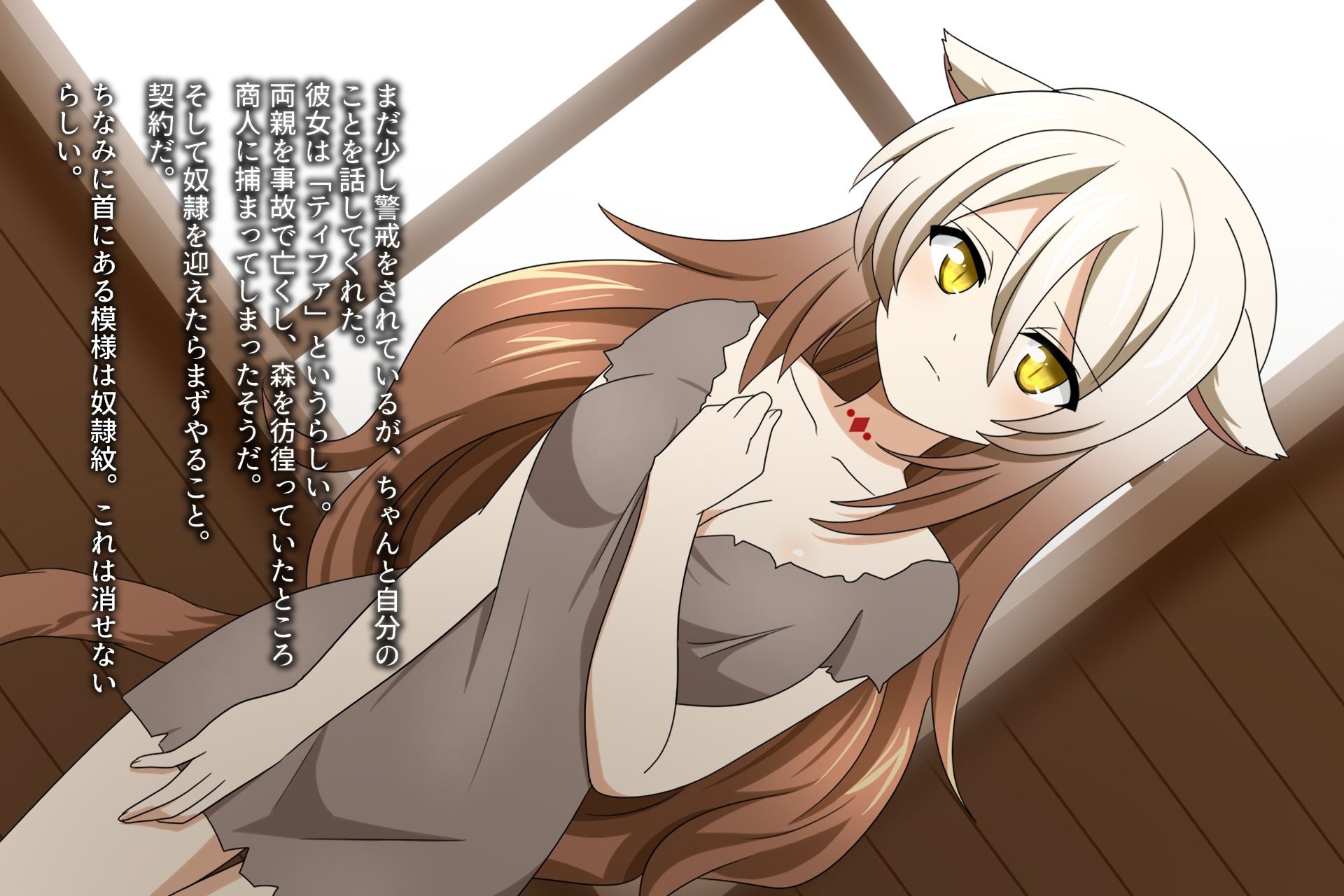 サンプル画像3:獣人奴●の契約事情(はちみつループ) [d_401778]