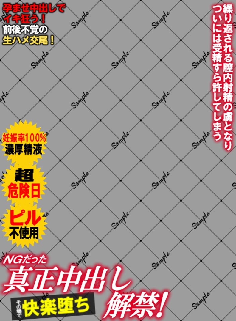 サンプル画像3:アダルトビデオ パッケージ透過素材（11）(ワークシャフト) [d_403225]