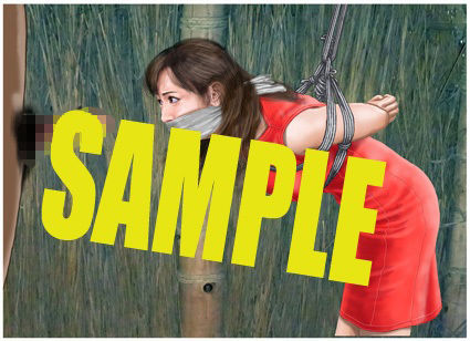 サンプル画像3:緊縛・着衣緊縛絵巻VOL.16(クリセゴン) [d_406979]