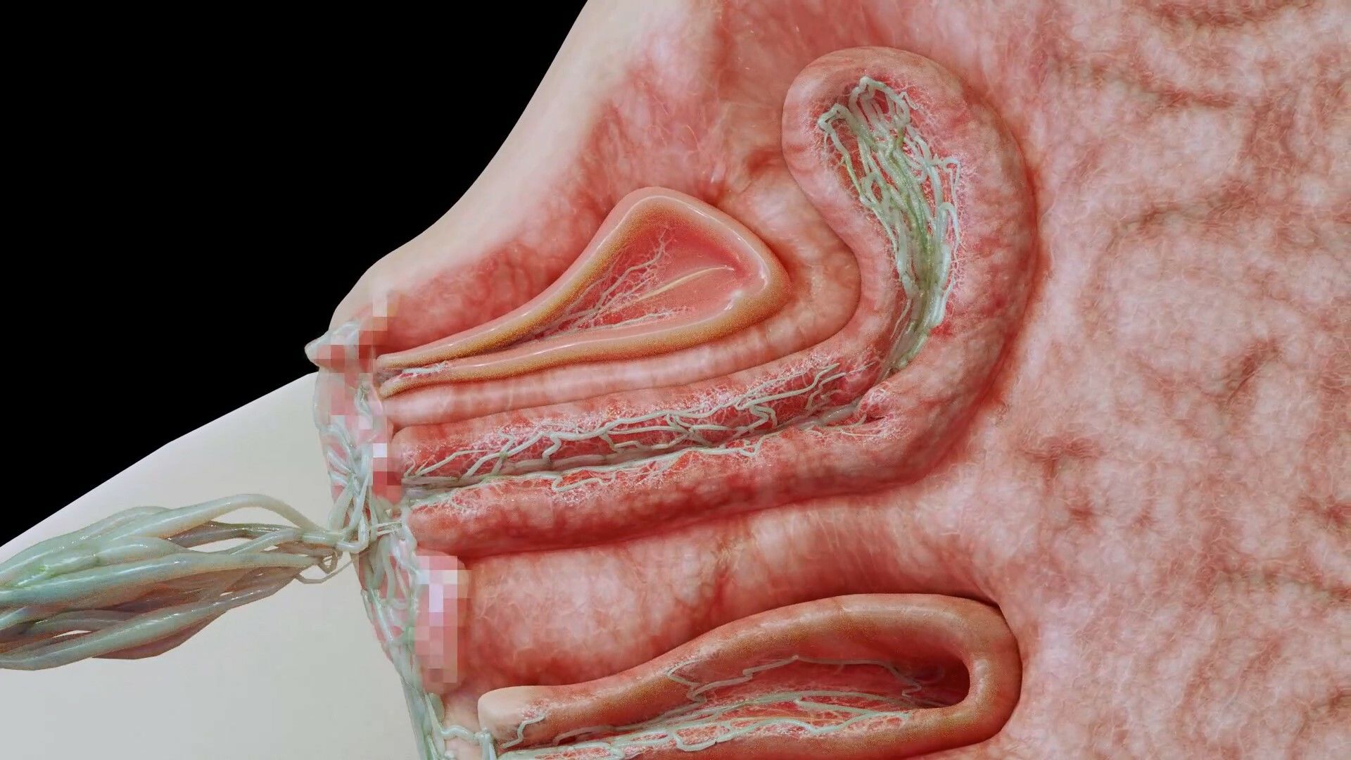 サンプル画像5:蛞蝓と眼鏡の女の娘(コトリボックス) [d_409827]