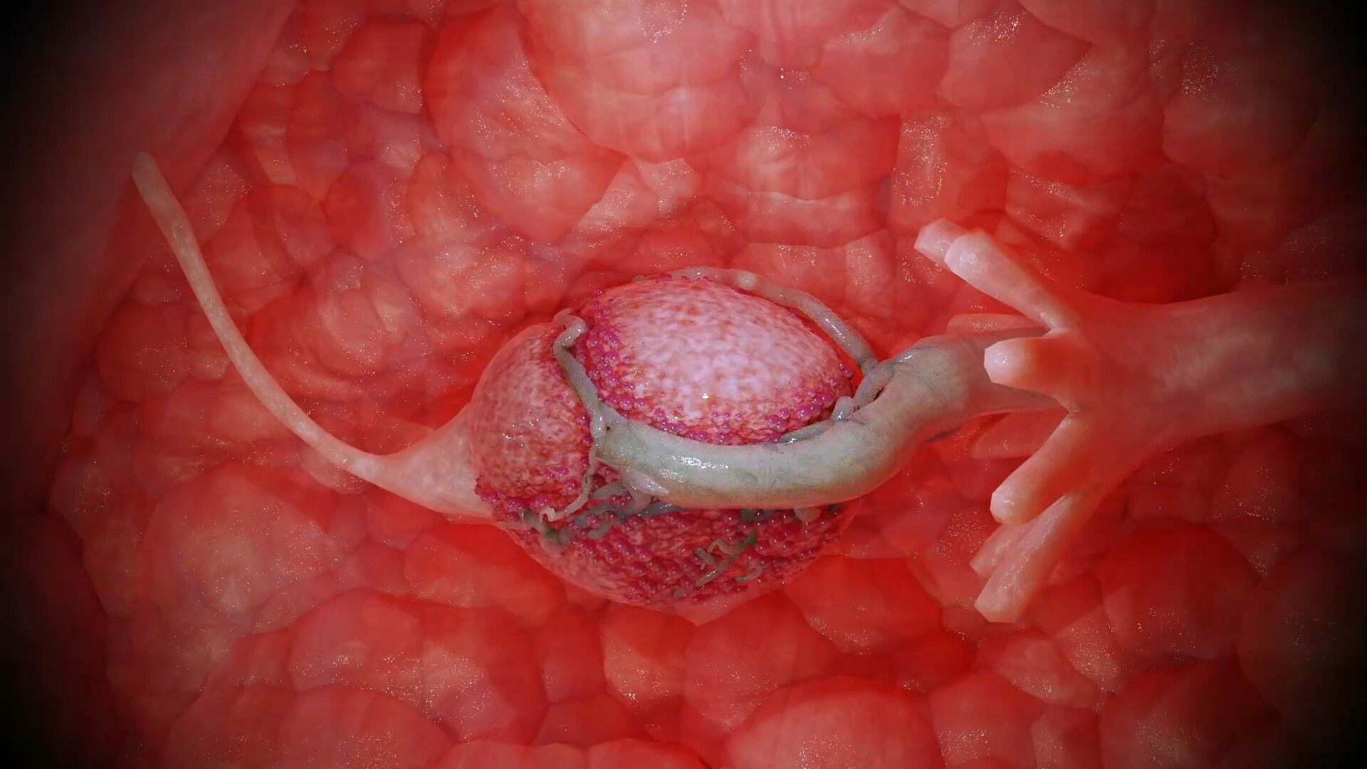 サンプル画像6:蛞蝓と眼鏡の女の娘(コトリボックス) [d_409827]