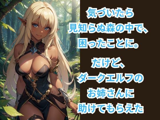 サンプル画像2:ダークエルフの里探訪記 -異世界転生してハーレム生活-(伊勢海愛) [d_411035]