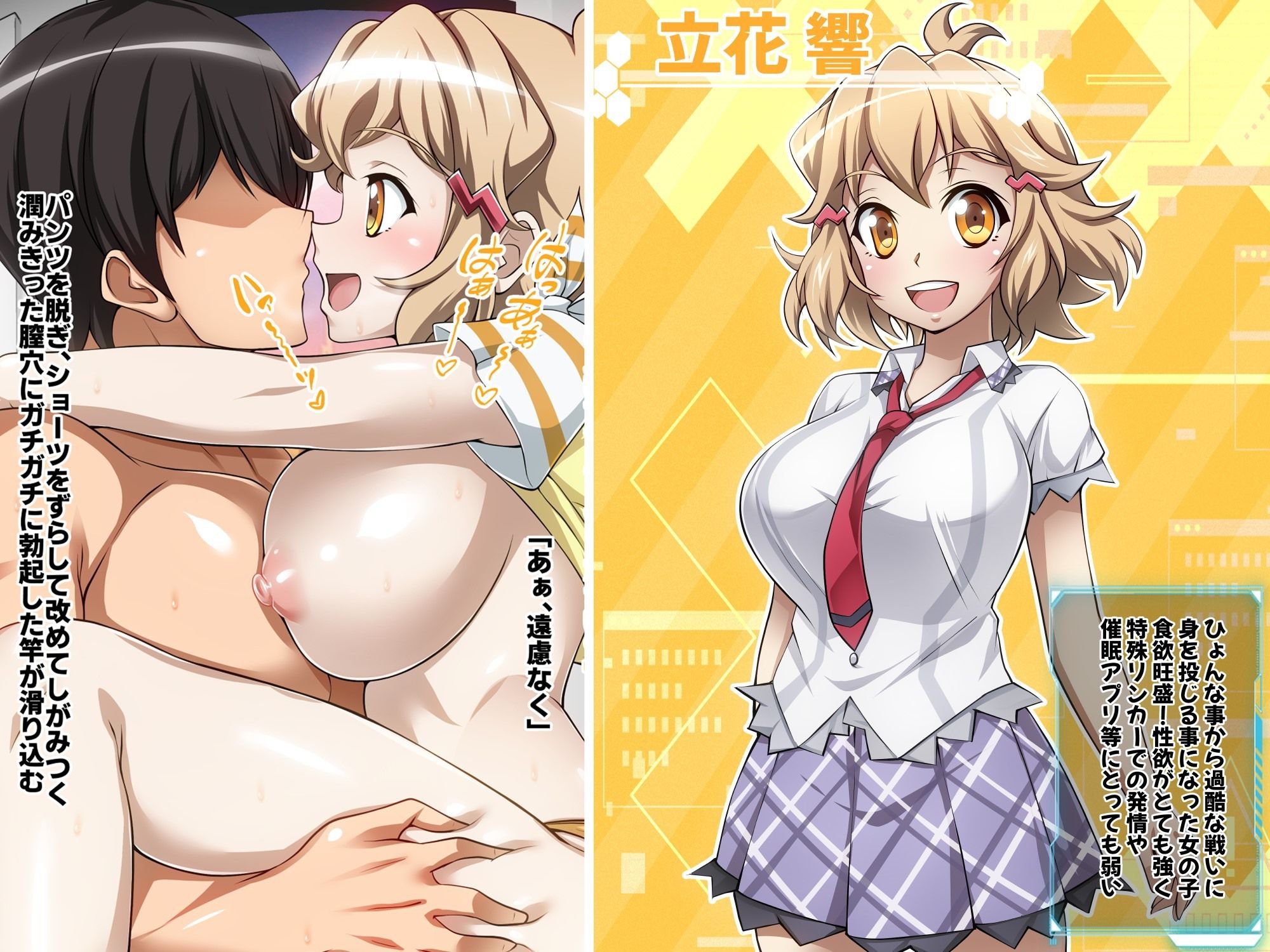 サンプル画像1:【戦姫絶頂シンフォギアH6】(ファンタスティック☆猫侍) [d_413204]