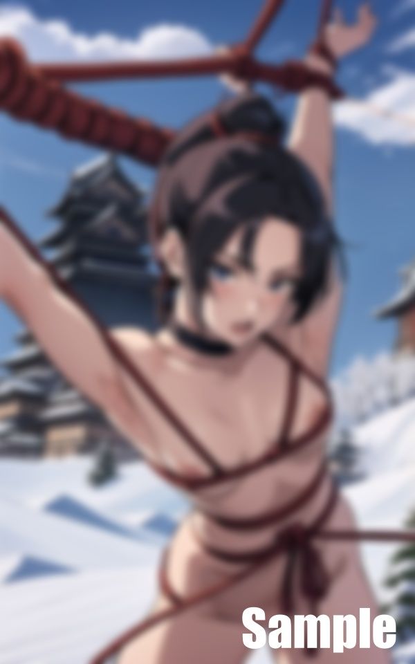 サンプル画像2:拘束されたくノ一 女忍者(ぬいっさん) [d_414195]