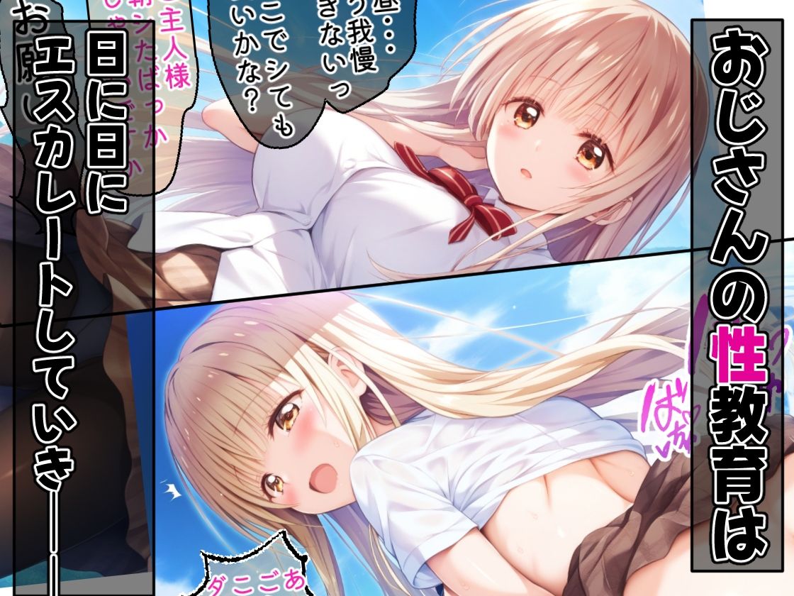 サンプル画像4:洗脳支配された天使様の飼育記録(めろんぷりん) [d_416305]