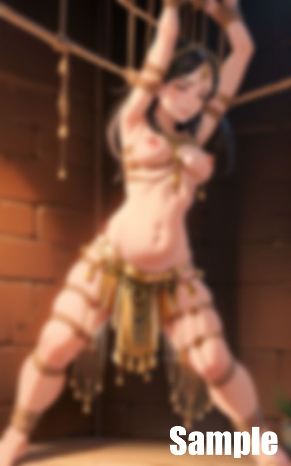 サンプル画像4:緊縛ベリーダンサー(のぱんな) [d_418013]