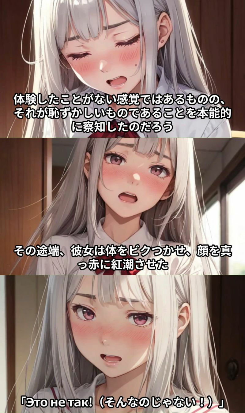 サンプル画像4:【J○痴●体験告白】時々ボソッとロシア語で嫌がる満員電車のJ○留学生を侵略戦争で亡くなった妻子の仇とか偽って凌●する話(少女痴●体験告白) [d_424566]