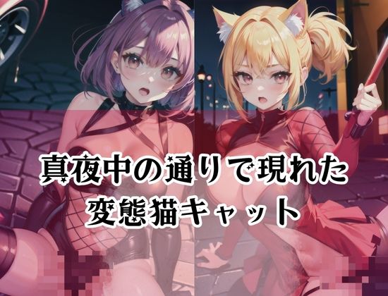 サンプル画像2:忍者キャット「真夜中に現れた変態猫娘」(エロの神様) [d_427831]