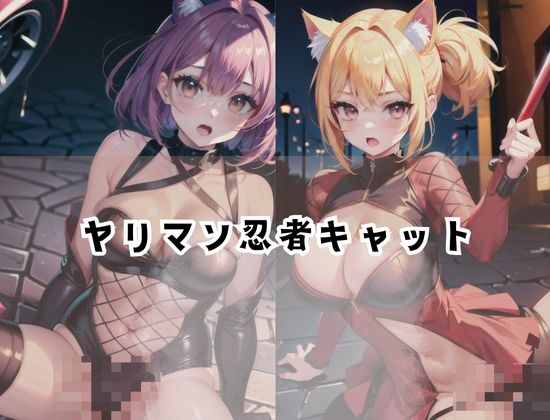 サンプル画像1:ヤリマン忍者キャット…夜の街を徘徊し男をハンター(ビスケット) [d_427836]