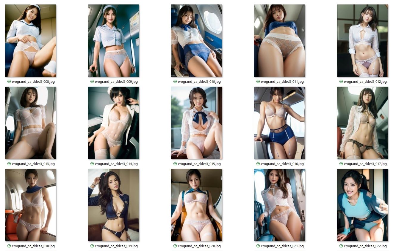 サンプル画像1:パンモロ特別フライト【第3弾】★エロス航空CA【脱スカ祭 】スカートレス・スペシャル便(エログランド) [d_428066]