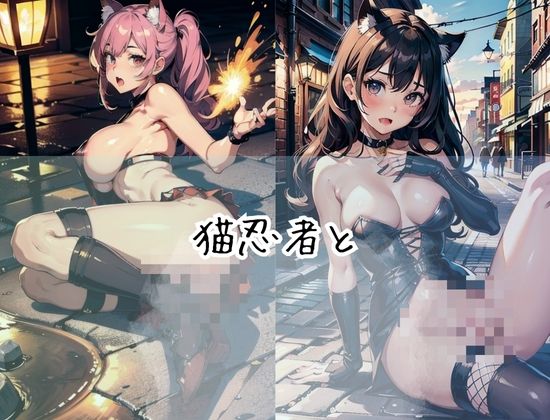 サンプル画像2:真夜中に猫忍者とお忍びSEX(starking) [d_428236]