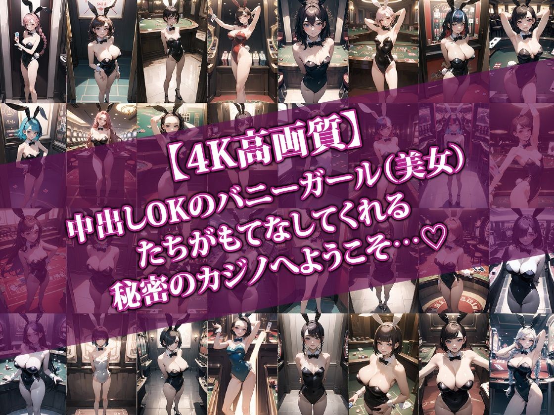 サンプル画像1:中出しバニーガールカジノ2(AI-beauty2.5) [d_431426]