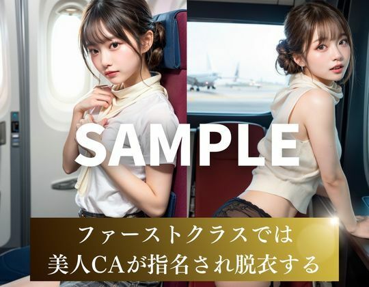 サンプル画像6:【新人CAの調教】ファーストクラスのHな機内サービス(あんTH) [d_436075]