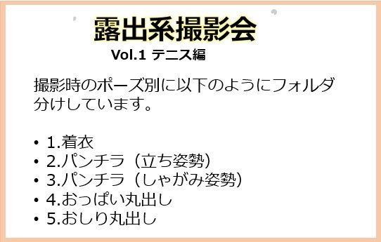 サンプル画像1:露出系撮影会 Vol1.テニス編(痴女ステンドグラス) [d_438093]