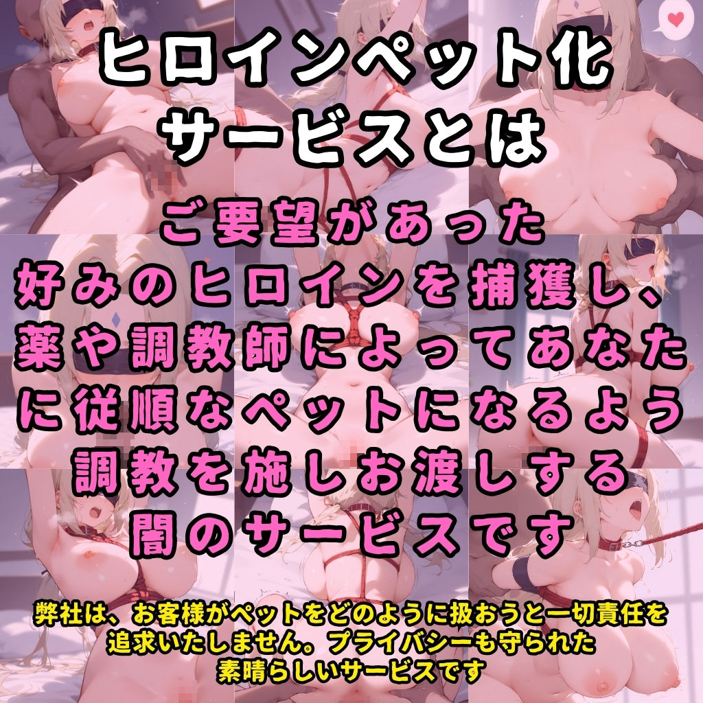 サンプル画像1:ヒロインペット化調教ドキュメンタリー【某シノビの里/ツ●デ編】〜ヒロインが拉致され調教師にイカされまくってご主人様の元に出荷されるまで〜(ハルシネーションクラブ) [d_446868]