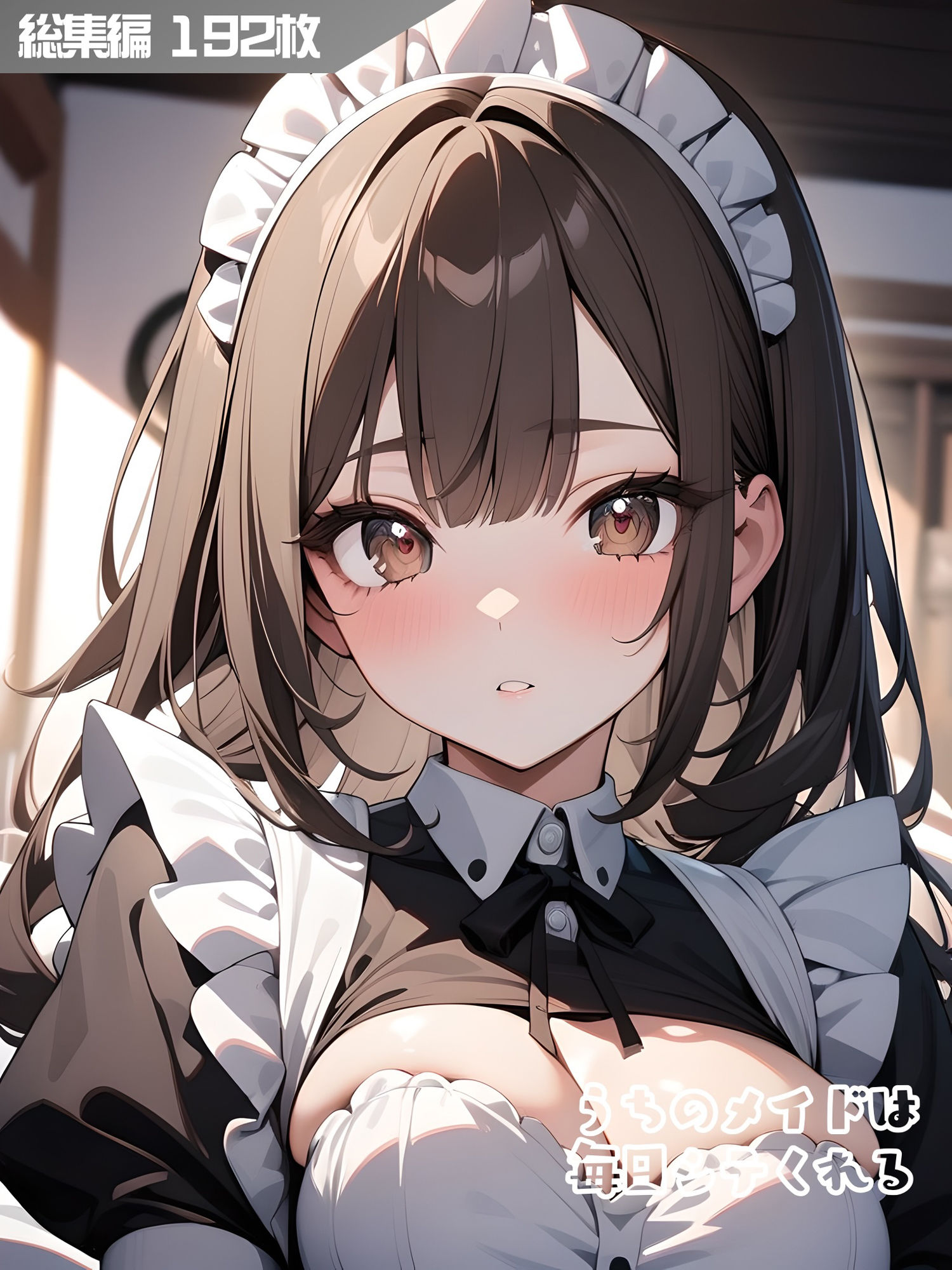 サンプル画像1:うちのメイドは毎日シテくれる 総集編(はつゆき) [d_448084]