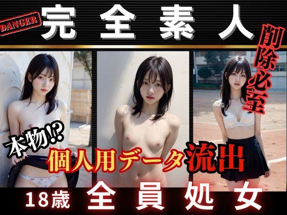 野外露出女子校生 表紙