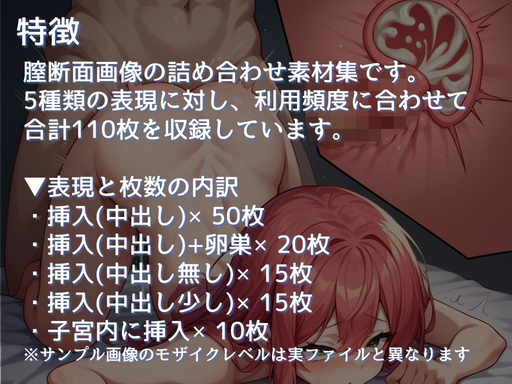 サンプル画像1:【生産性向上に！】膣断面画像 詰め合わせ 素材集（全110枚・透過png形式）(ちいさなおてて) [d_458758]