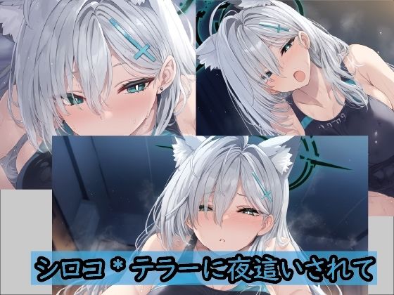 サンプル画像1:夜●いせし シロコテラーに 襲われて(ガジャモイロコッケ) [d_459802]