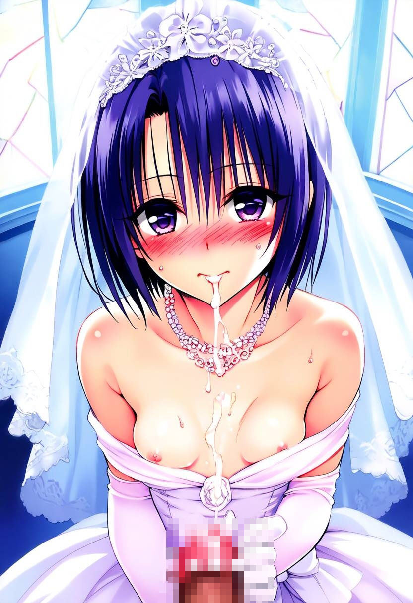 サンプル画像6:ToL〇VEる Happy Wedding S〇X in a dream〜春〇〜（厳選328P）(だるまん) [d_460211]