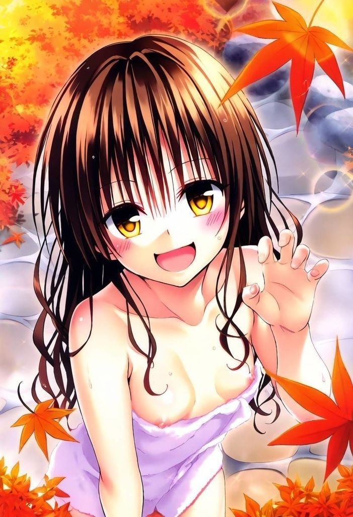 サンプル画像1:ToL〇VEる 紅葉の湯けむり〜兄妹の秘めごと〜美〇（厳選141枚）(だるまん) [d_462899]