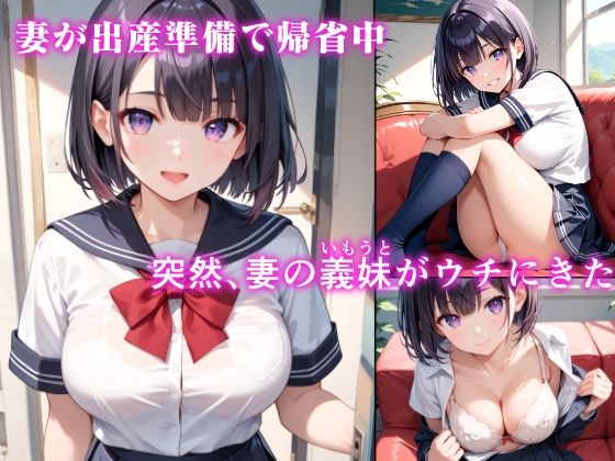 サンプル画像1:妻の義妹から浮気防止に性欲処理すると誘惑された話(さいちゅー工房) [d_463536]