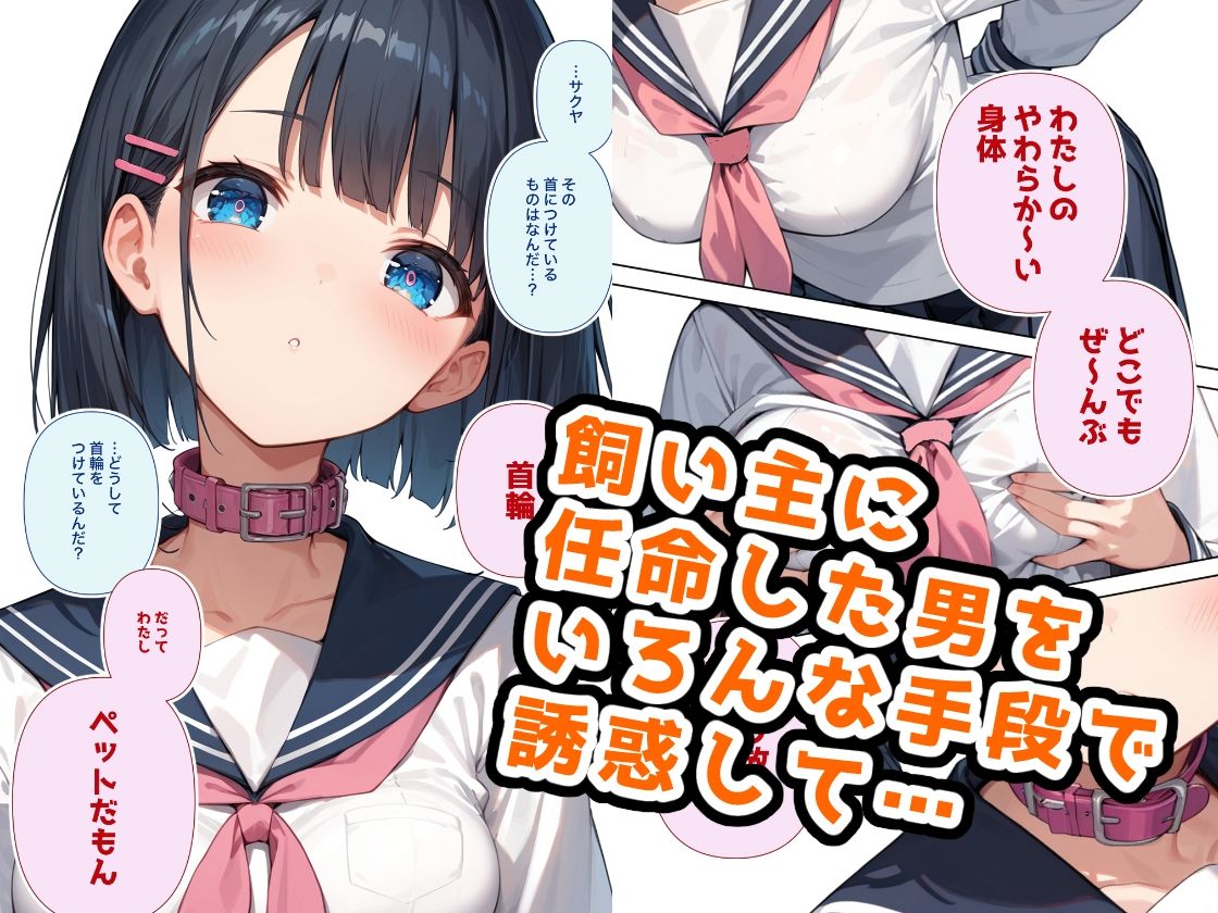 サンプル画像3:第一志望はペットですっ！(ステーキくん) [d_474903]