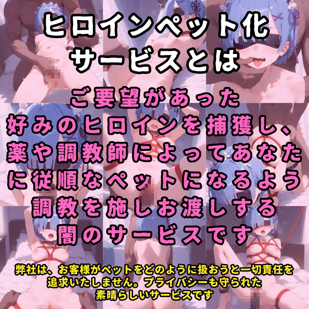 ヒロインペット化調教ドキュメンタリー【リゼロ/レム編】〜ヒロインが拉致され調教師にイカされまくってご主人様の元に出荷されるまで〜の画像1