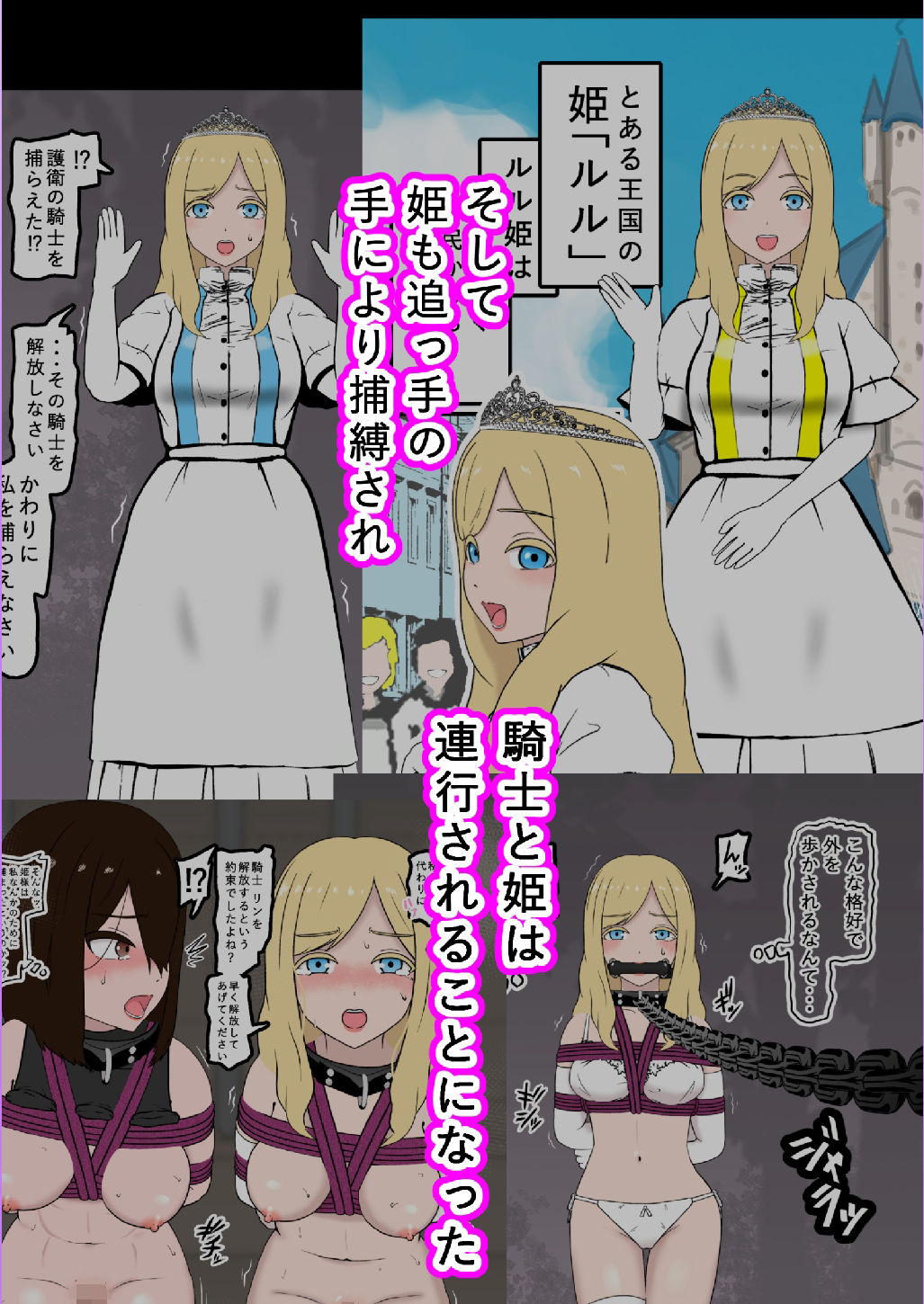 サンプル画像2:騎士・姫敗北拘束記録(トンテン) [d_480890]