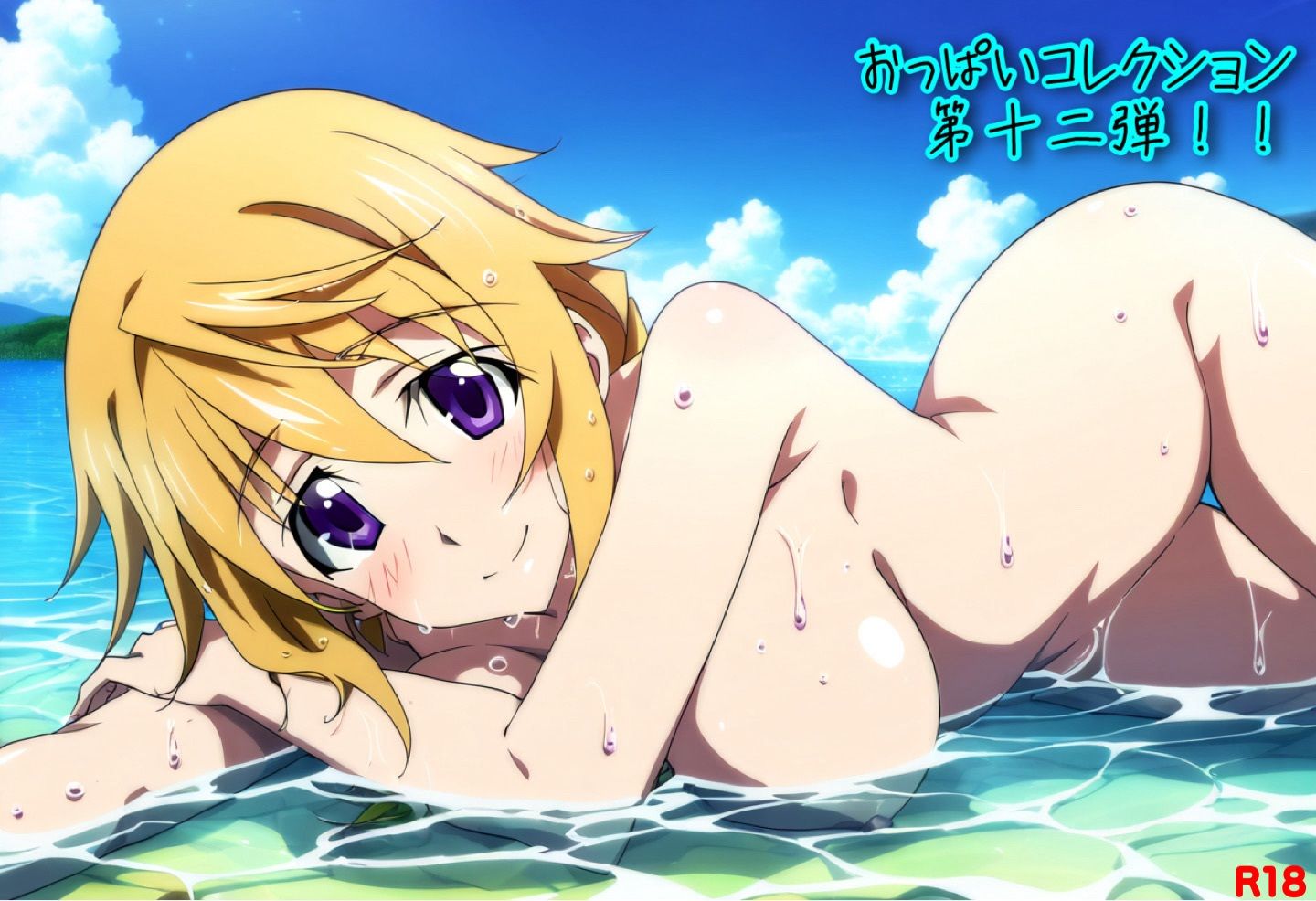 サンプル画像4:おっぱいコレクション第十二弾！！(おっぱいマン) [d_481510]