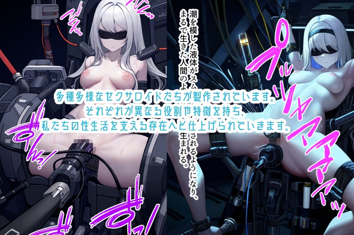 サンプル画像4:セクサロイド機械姦完全記録(リベルテ) [d_482837]