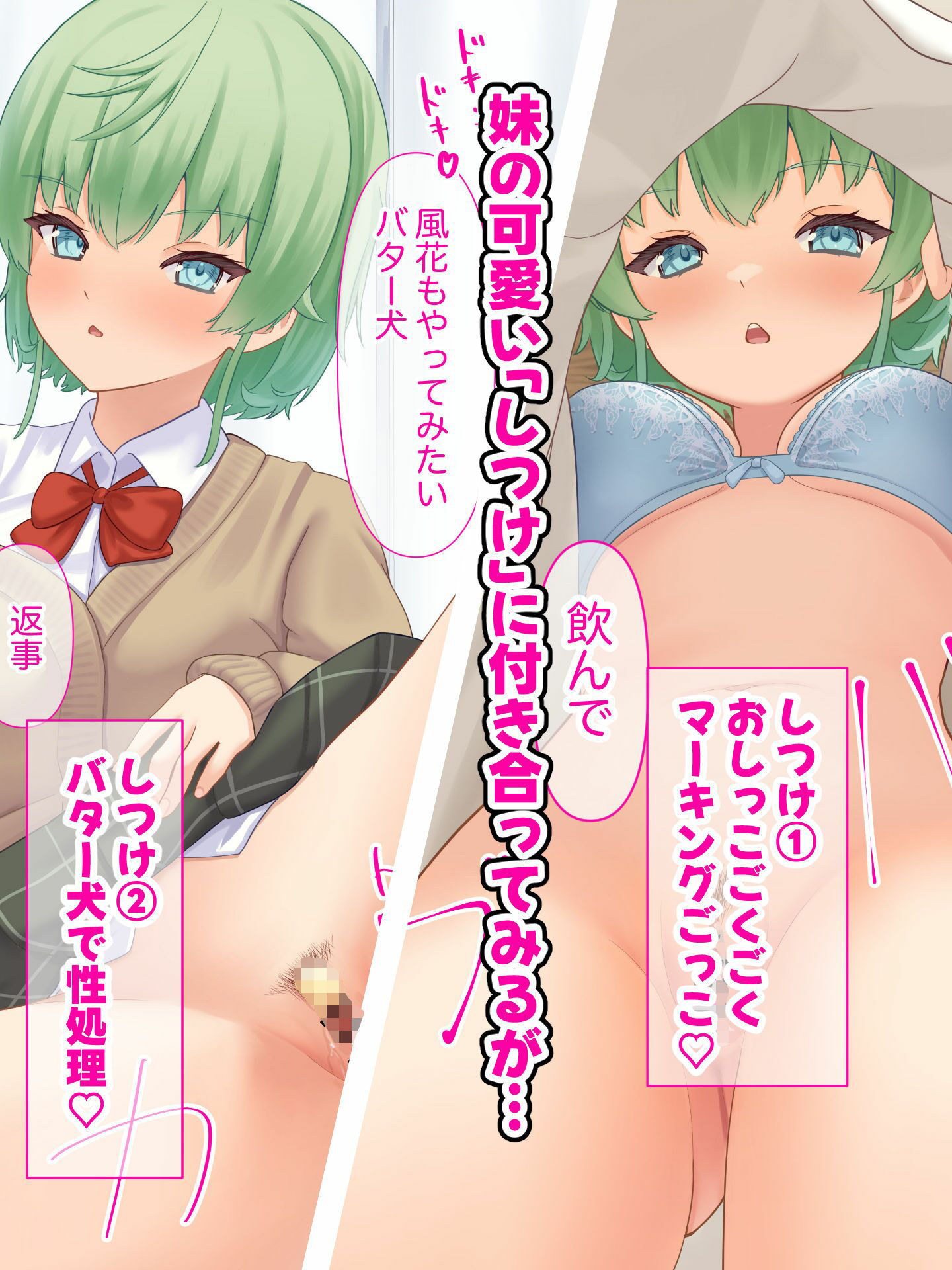 サンプル画像3:テニス部妹とのペットH生活(さける豚) [d_486429]