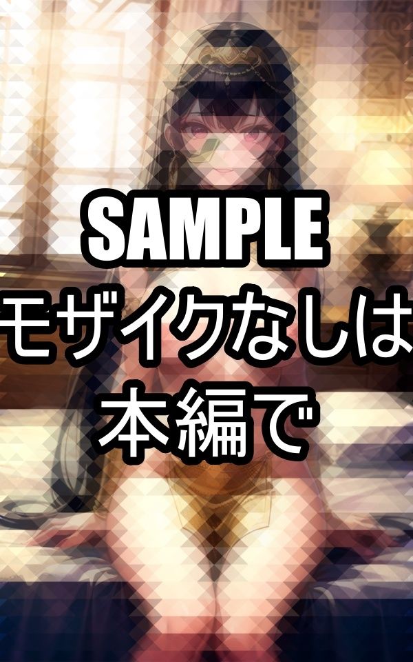 サンプル画像4:せまりたい異国の王女様(ぽっけぽけ) [d_486672]