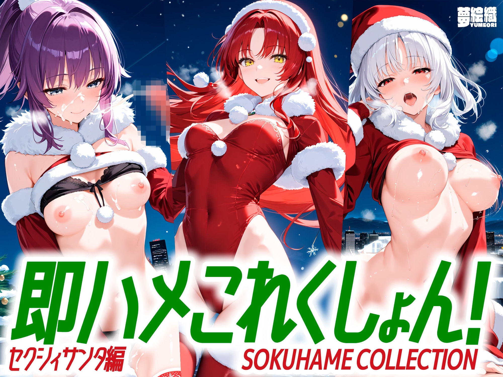 サンプル画像1:即ハメこれくしょん！セクシィサンタ編(夢絵織) [d_495303]