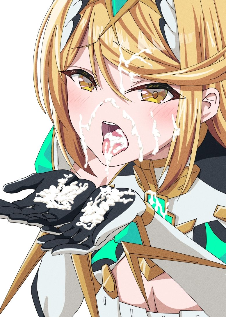 サンプル画像2:ゼノブレイド2・3えちちイラスト本2(ShaDraw) [d_495315]