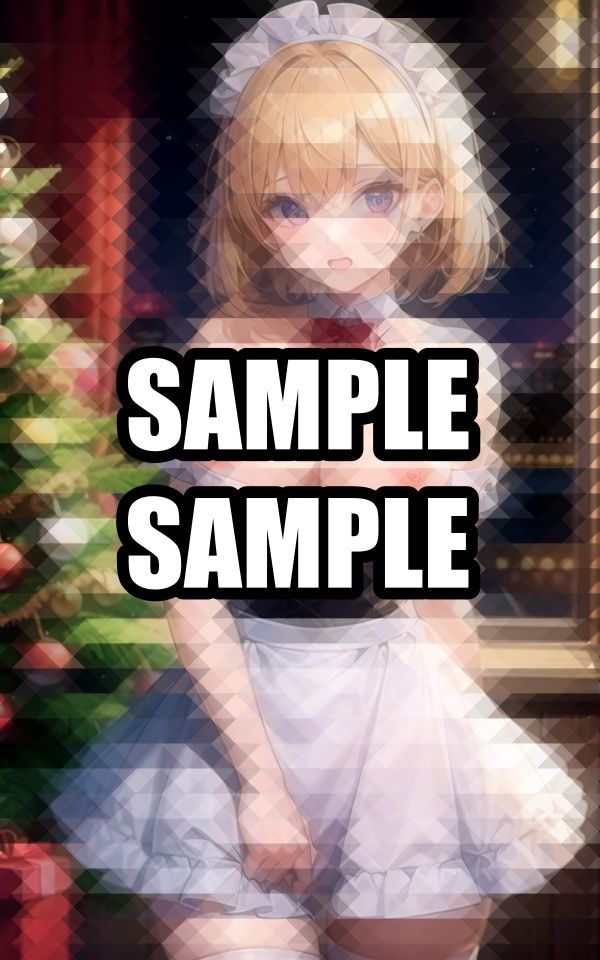 サンプル画像3:聖なる夜のサンタメイド美女(ぽんぽこ) [d_496750]