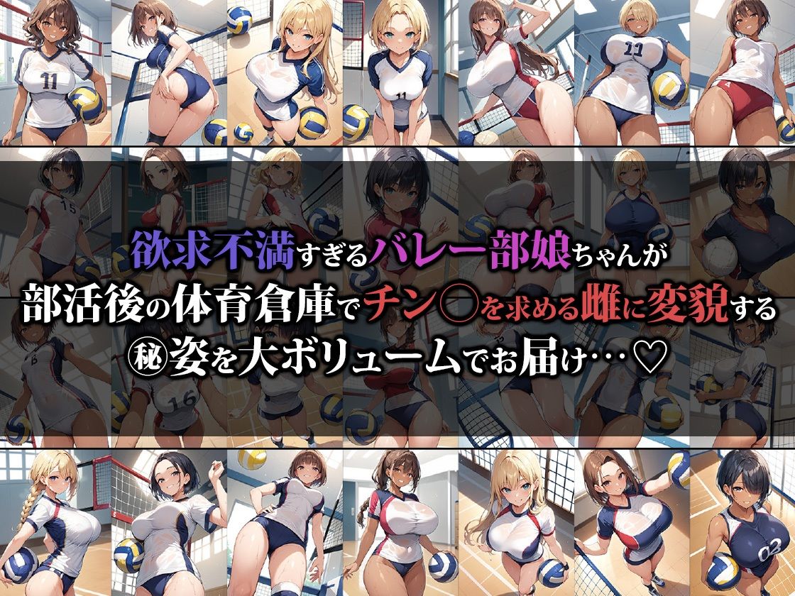 体育倉庫で雌になるバレー部娘の画像1