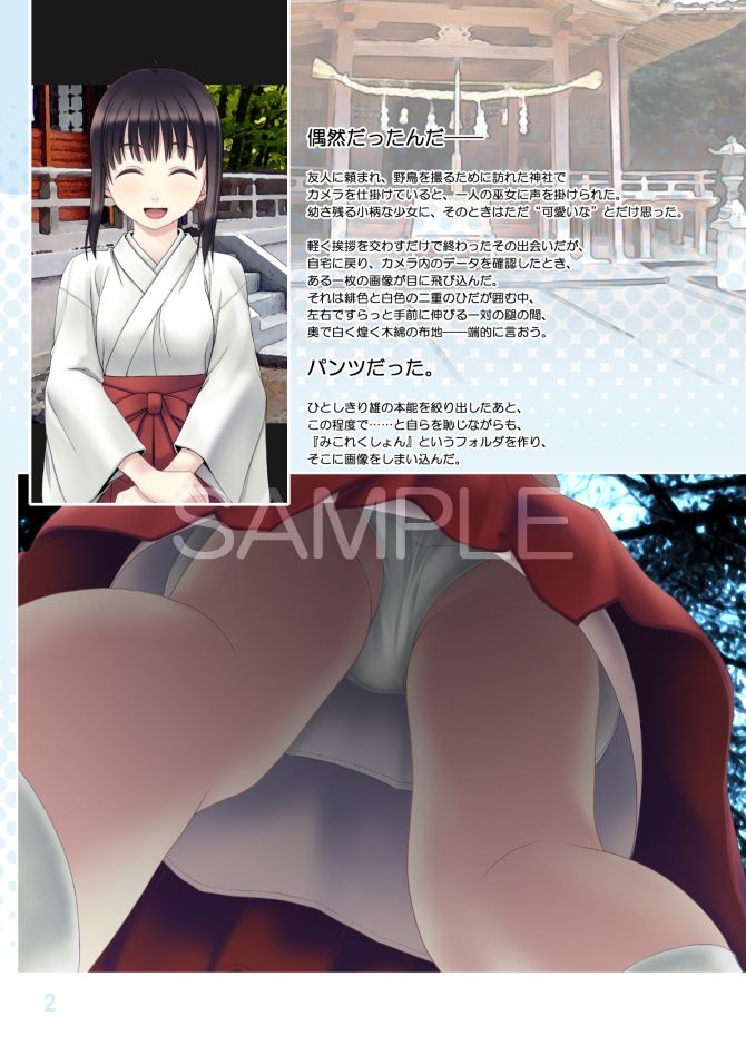サンプル画像2:みこれくしょん─巫女少女観察記録─(愚舎) [d_499249]