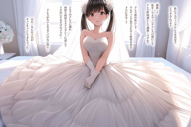 サンプル画像1:ドレス美少女35  ドレスエッチはいかが？(Dresscco) [d_506754]