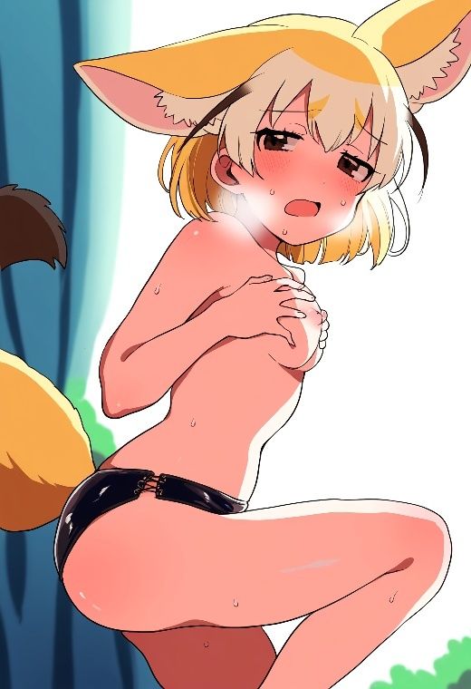 サンプル画像4:けものフレ〇ズ フェネ〇ク コスプレコレクション(萌えのキュン太) [d_513116]