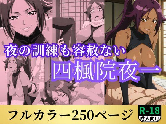夜の訓練も容赦ない四楓院夜一のサンプル画像1