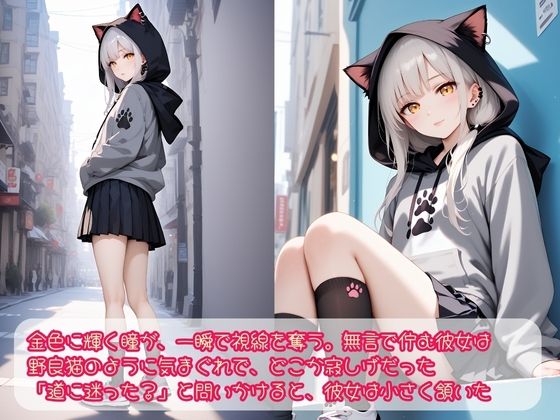 サンプル画像1:迷い猫 保護してえっち(Cygnia) [d_520515]