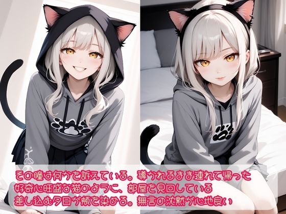 サンプル画像2:迷い猫 保護してえっち(Cygnia) [d_520515]