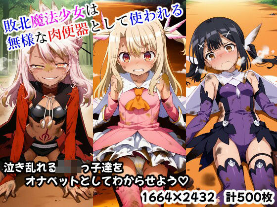敗北魔法少女は無様な肉便器として使われるの商品画像
