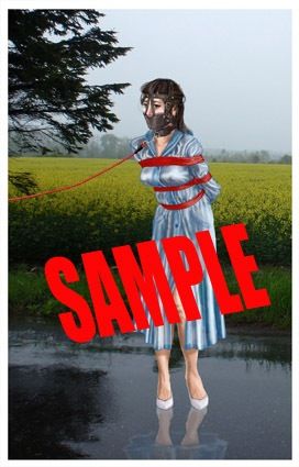 サンプル画像1:緊縛・着衣緊縛絵巻VOL.19(クリセゴン) [d_540014]